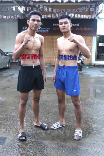 ข่าวมวยไทย