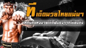 มวยเด็ดฟันธง