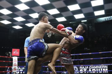 ข่าวมวยไทย