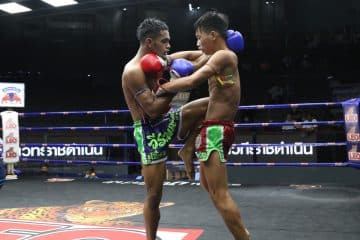 ข่าวมวยไทย