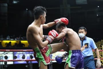 ข่าวมวยไทย