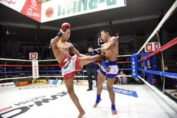 ข่าวมวยไทย