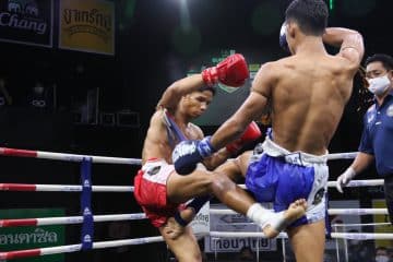 ข่าวมวยไทย