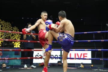ข่าวมวยไทย