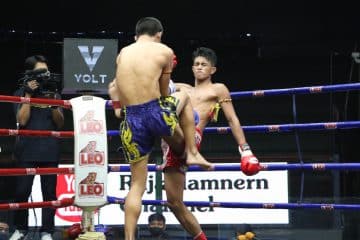 ข่าวมวยไทย
