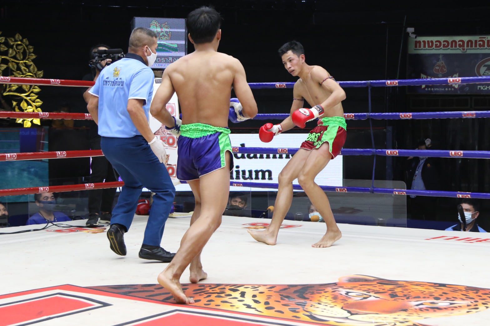 ข่าวมวยไทย