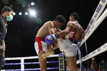 ข่าวมวยไทย