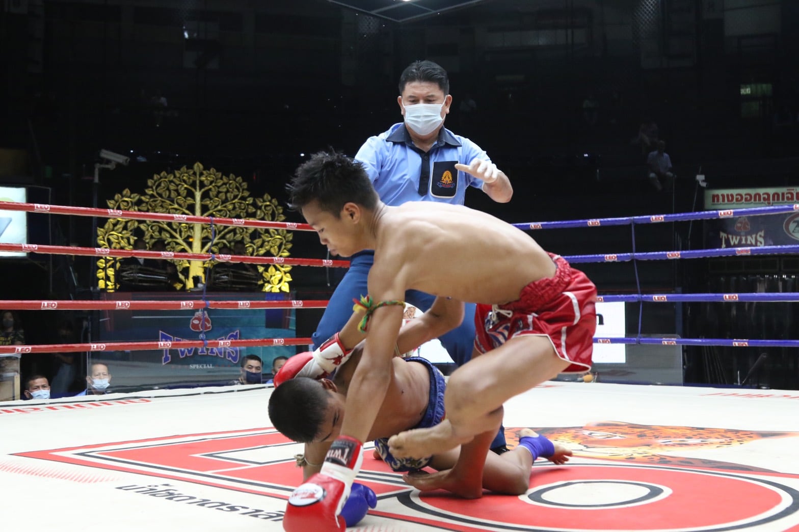 ข่าวมวยไทย