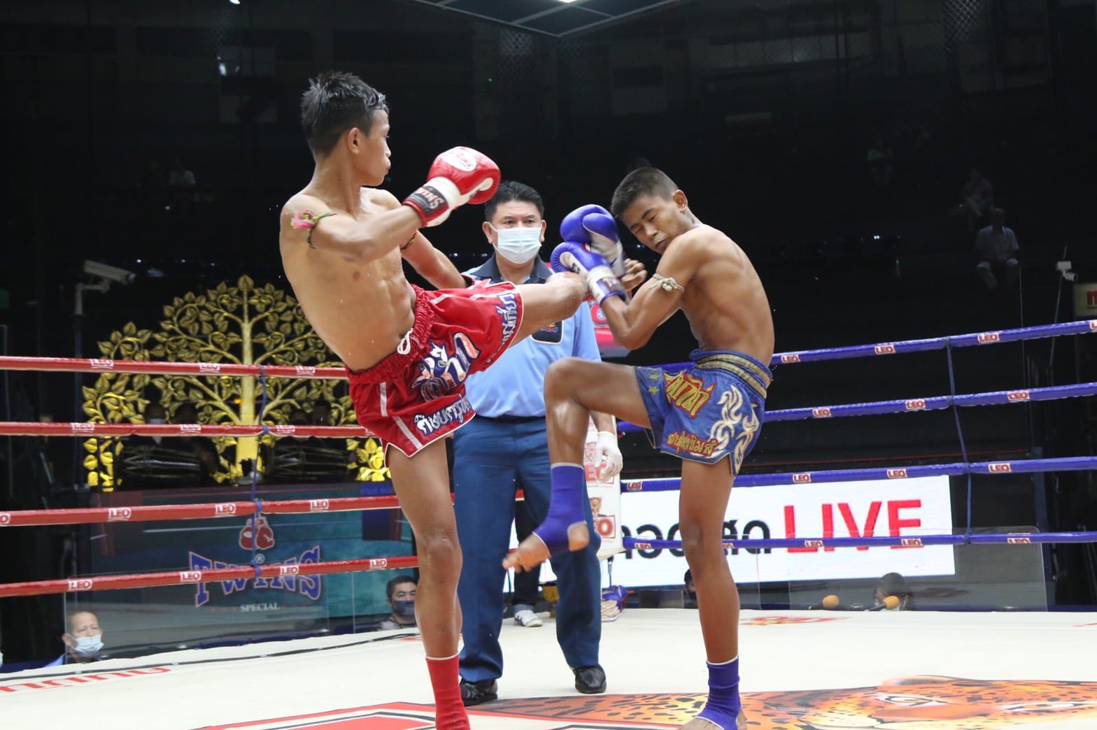 ข่าวมวยไทย