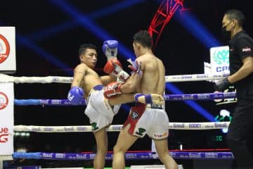 ข่าวมวยไทย