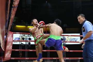 ข่าวมวยไทย