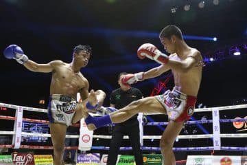 ข่าวมวยไทย