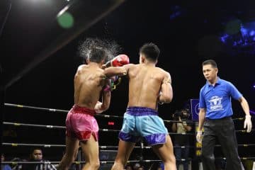 ข่าวมวยไทย