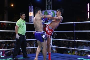 ข่าวมวยไทย