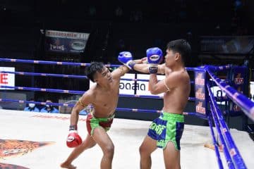 ข่าวมวยไทย