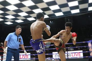 ข่าวมวยไทย