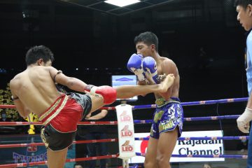 ข่าวมวยไทย