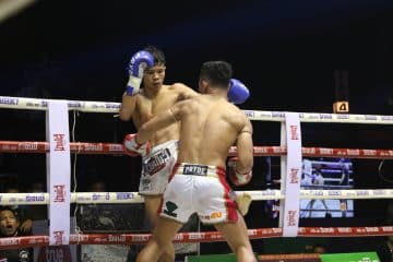 ข่าวมวยไทย