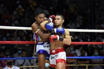 ข่าวมวยไทย