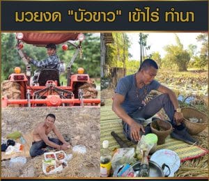 ข่าวมวยไทย