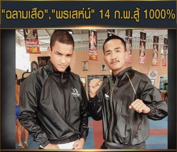 ข่าวมวยไทย