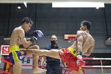 ข่าวมวยไทย