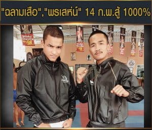 ข่าวมวยไทย