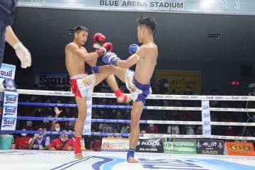 ข่าวมวยไทย