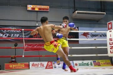 ข่าวมวยไทย