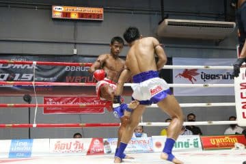 ข่าวมวยไทย