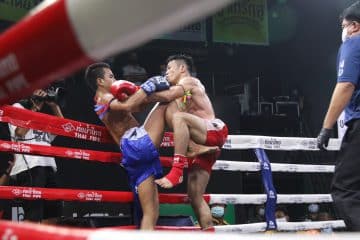 ข่าวมวยไทย