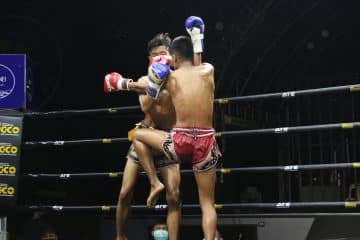 ข่าวมวยไทย