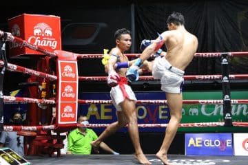 ข่าวมวยไทย