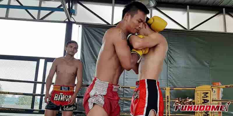 ข่าวมวยไทย