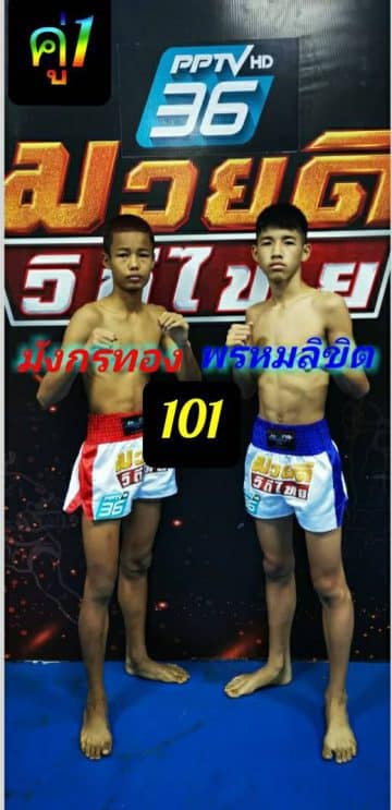 ข่าวมวยไทย