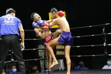 ข่าวมวยไทย